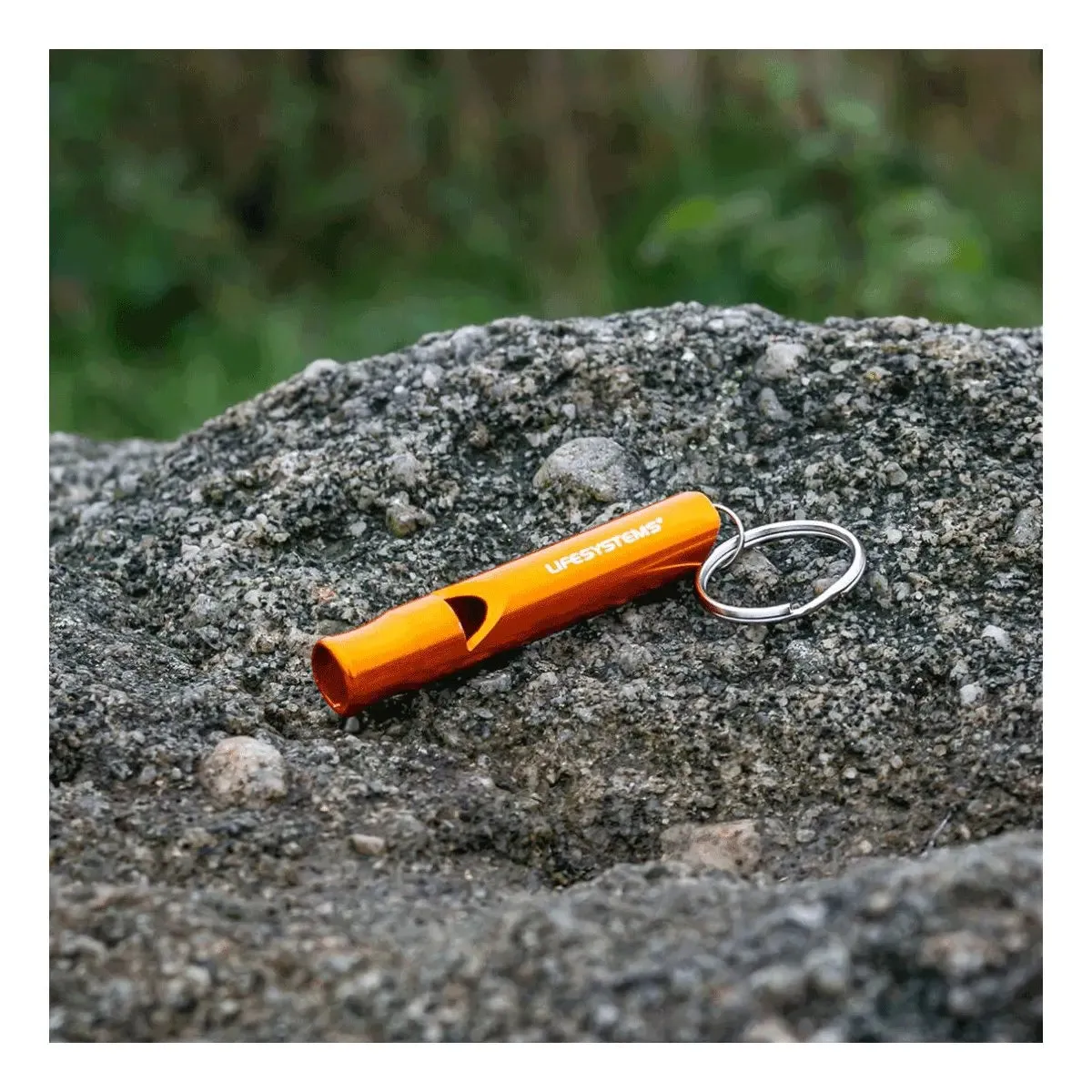 Mountain Whistle
